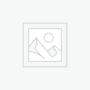 Male Sulphur-Crested Cockatoo for Sale